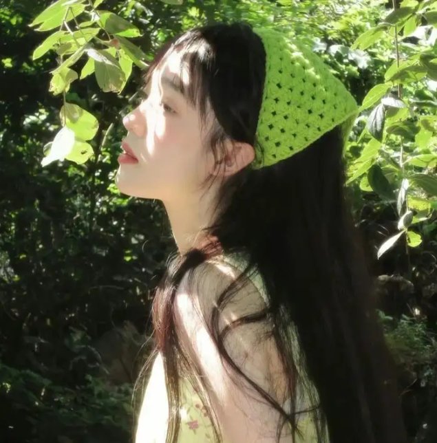 中华之剑