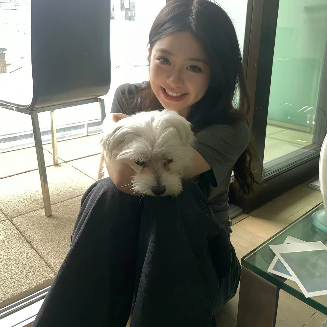 兔子谜题